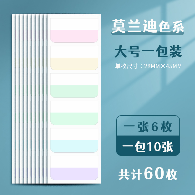 モランディのインデックスは学生用のラベル紙を貼ってネットを貼ります。|undefined