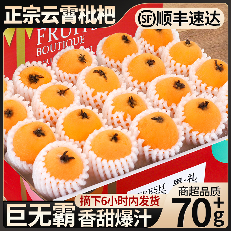 SF Express large fruit 9 jin authentic Yunxiao loquat fresh fruit whole box seasonal gift box