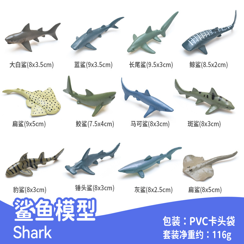 12 3 인치 솔리드 해양 상어 (PVC 카드 가방)