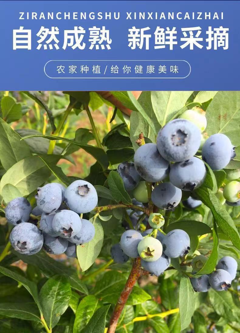 57c50aa1-10bf-4aee-98c0-ea03f2559c4d.jpe