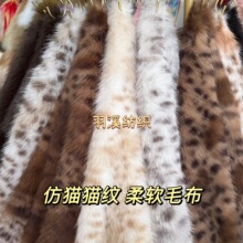 �����ס���؈�yС����ë �±��y�ߵ�ë �߼���ë�q�� ���b�Ҿ���