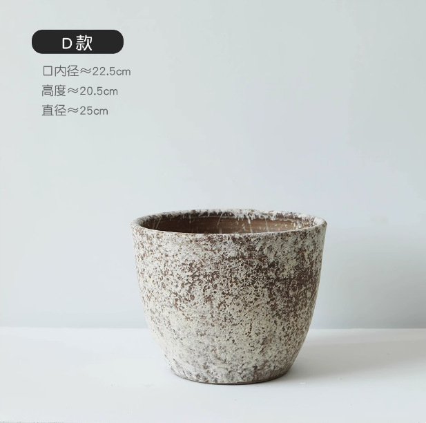 높이 약 20 폭 25