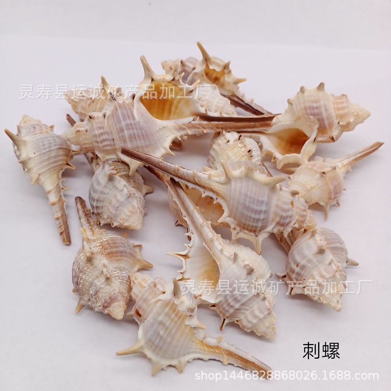 IMG_20210903_141901_副本