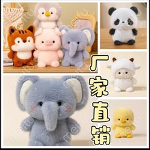 �ɐ�������ż����С�[����ż���ë�q���С�������������l