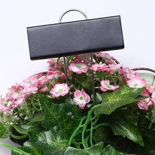 �羳ר��԰��ֲ���ǩ������ǩ��ɫ����ֲ�����
