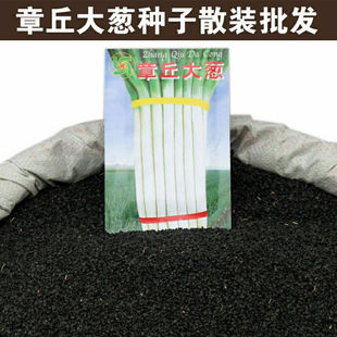 �ļ�ɽ�|������[�N�Ӹ߮a�ͺ��F�U�߲����ӷN���ļ��������[�N��