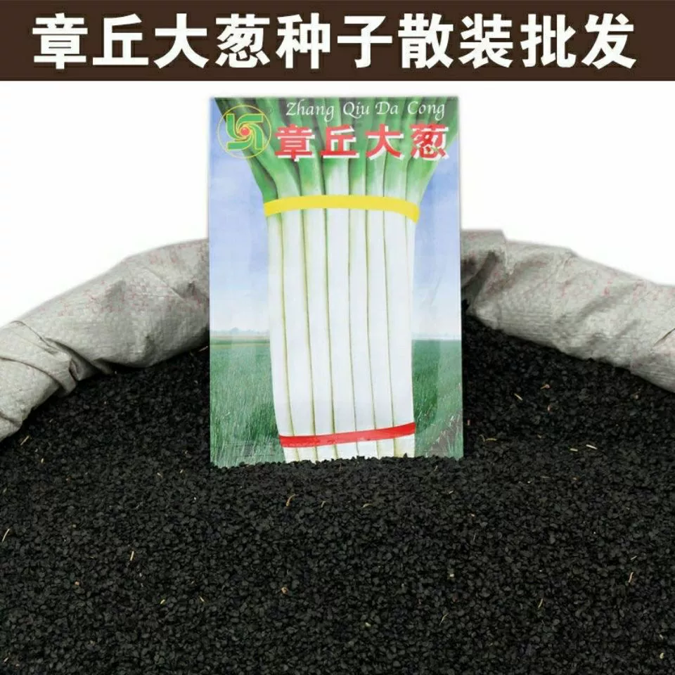 Четыре сезона Семена валлийского лука Шаньдун Чжанцю Высокоурожайные Холодостойкие семена саженцев овощей Четыре сезона Семена весеннего валлийского лука