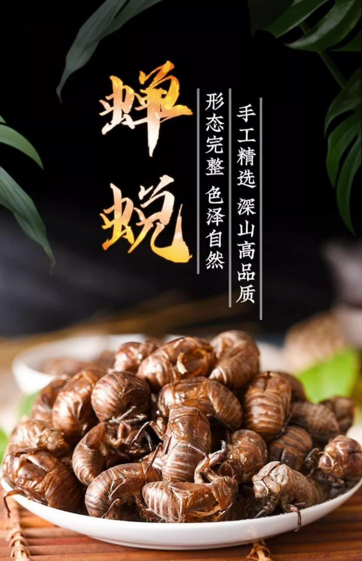 Cicada Slough Chan Tui Whole Dried Cicada Molt Traditional TCM Herb Water Washed 500g overview