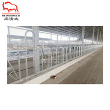 牛颈枷 牛场定位栏限位栏 镀锌管栏位 牛用栏位