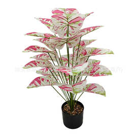 跨境专供仿真绿植彩芋叶芋果叶植物假盆栽落地室内装饰假树