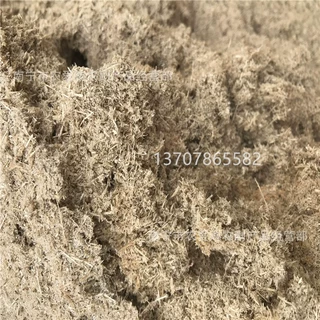 广西广东甘蔗渣 细渣 秀珍菇种植 贵州云南甘蔗渣