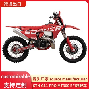 �h�r���l˹�м{ STN G11?1PRO EFI MT300 ԽҰĦ��܇ 300cc �ɛ_
