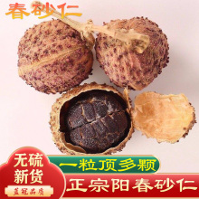 �����ڼ���ꖴ���ɰ��ɳ��ꖴ��خaҰ���V�|ɰ���Bθ5g