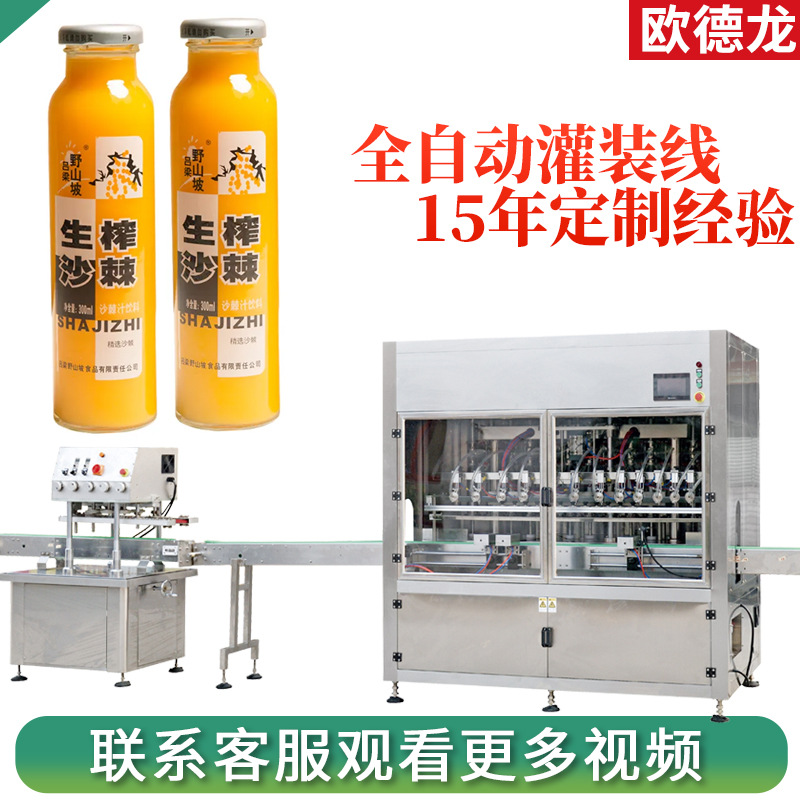 全自动饮料灌装机 多头直流式沙棘汁灌装机 玻璃瓶果汁罐装设备
