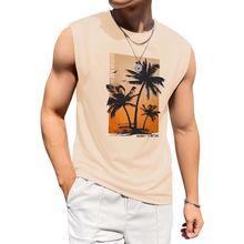 LAIDIPAS 男士3D 背心夏季休闲无袖衬衫中性彩色图案上衣 新奇T恤