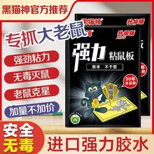 ��؈��5Ƭ�bճ������l���������N����ճ��Ӵ�Ӻ����T�������