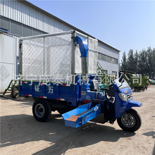 ݆厲ݙCƄʽ厲zһwCιնC