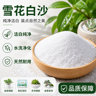 ʯӢɰ��ɳ�ӱ�ϩ����������ɳ��ɫ��ɳ����Ͱ���Ҹ��~���쾰����