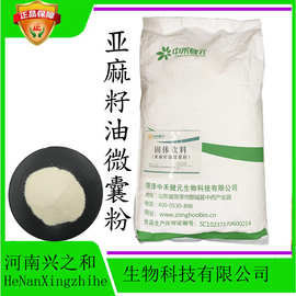 兴之和现货供应 a-亚麻酸 20公斤/袋 食品级 亚麻籽油微囊粉