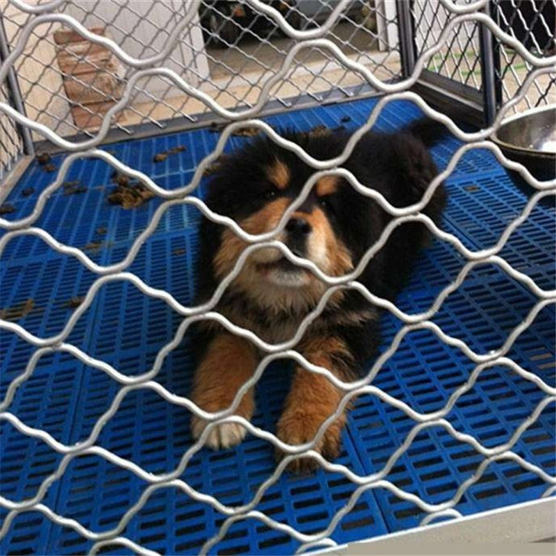 成都美格网 镀锌钢丝网 镀锌围拦网 防盗窗钢丝网 狗笼子铁丝网