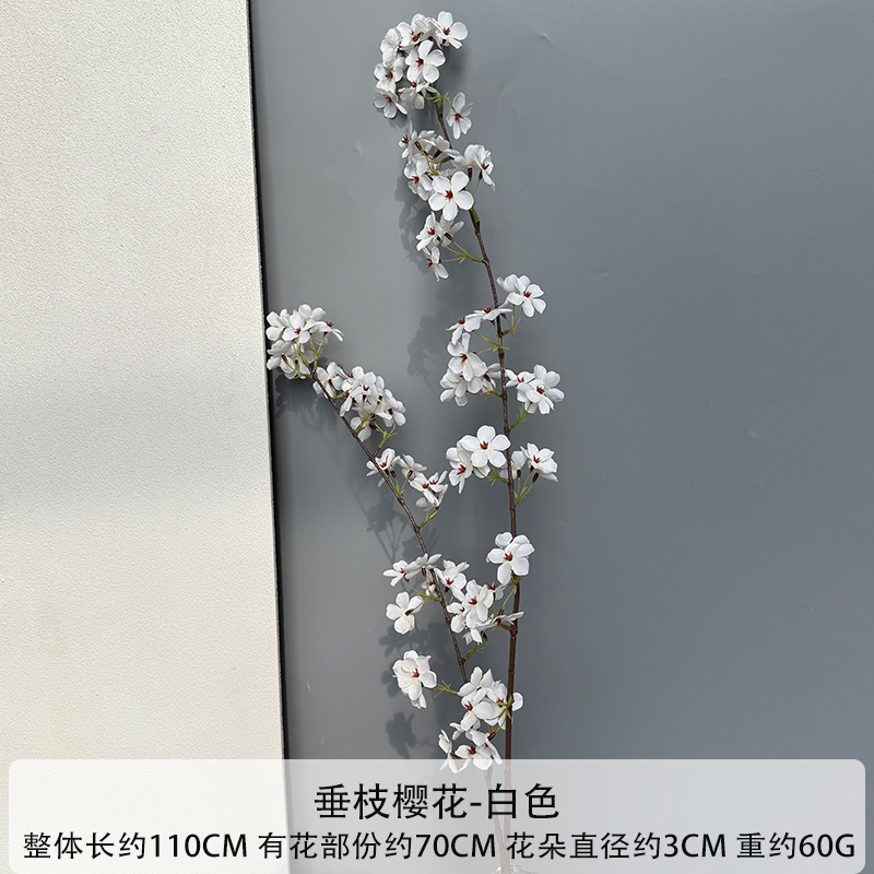 Weeping cherry blossoms