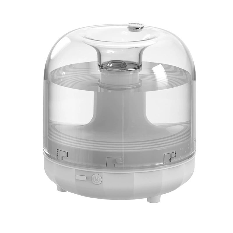 (Cross-border trading), lightweight humidifier, moisturizing spray