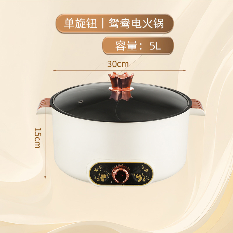 志高鸳鸯电煮锅家用6L大容量煎炒煮涮双控温多功能一体不粘电火锅|undefined
