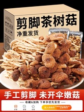2025云南农家茶树菇干货甄选不开伞切根新鲜茶薪菇香菇蘑菇250g