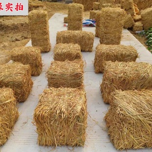 Straw stack dry farmhouse decoration dry rice round straw stack shooting props straw stack stool