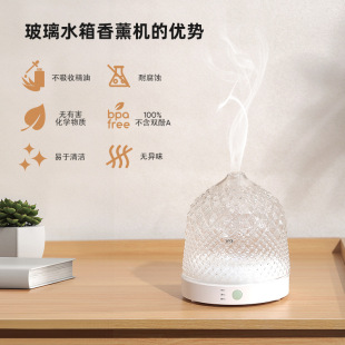 Glass Water Tank Aromatherapy Machine Essential Oil Ultrasonic Humidifier European Style Essential Oil Creative Aromatherapy Lamp Bedroom Home Romantic