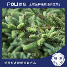 加拿大进口有机胶冷杉精油进口单方精油原料批发颇黎进口精油香薰