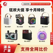 跨境蓝牙音箱带话筒麦克风一体机手提便携蓝牙音箱203家庭K歌音响