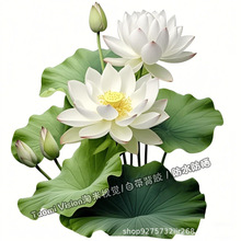 xؔɫɻճN͏dҏNbNRͰN