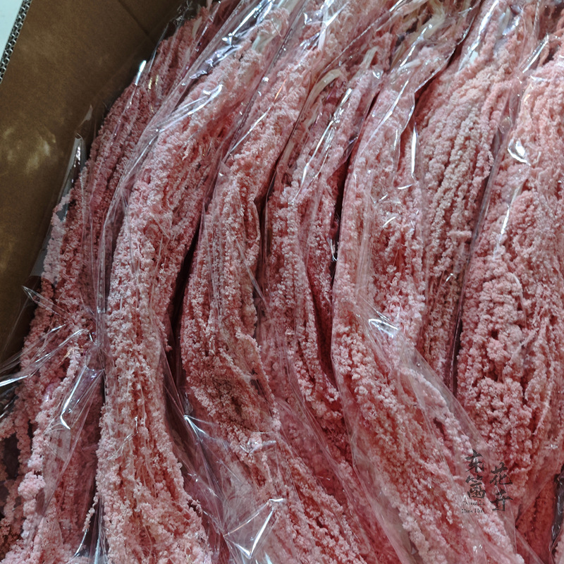 Arroz colgante de vida eterna, flores colgantes de Roulisi, flores reales, flores perpetuas, arreglos florales de boda, decoración de paredes, flores secas tridimensionales al por mayor