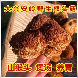 ��؛���d���X��ɽ���^����؛�|���خa��Ұ�����^������Ѭ