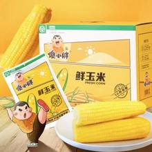 ����ƽԭ��Ŵ���� ɵС����Ŵ���׷��ك�����i�r10֧�b�SŴ��