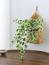 ѩ��������ֲ�������҃ȿ͏d���B�Gֲ�����k�������澎������辰