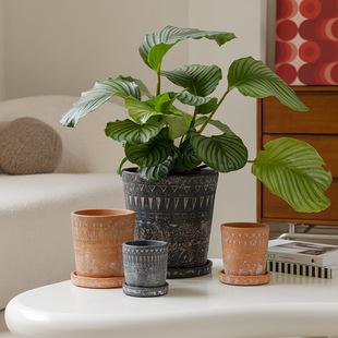 ���sˮ���͹����f��������ɫ�b��⻨�踡�������L�@ˇ�[��͸��