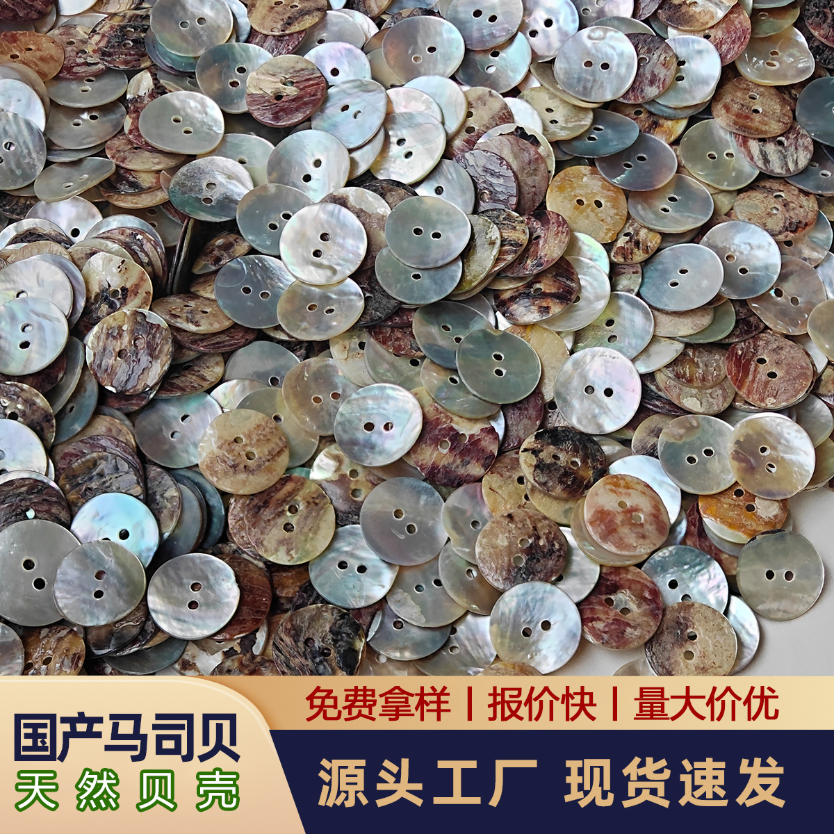 现货国产马司贝纽扣 衬衫毛衣开衫天然马氏贝两眼四眼扣子贝壳扣