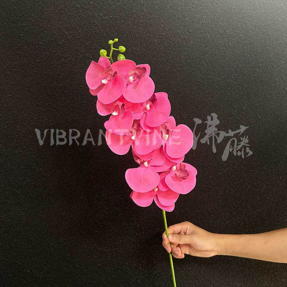 Rose red 3d phalaenopsis