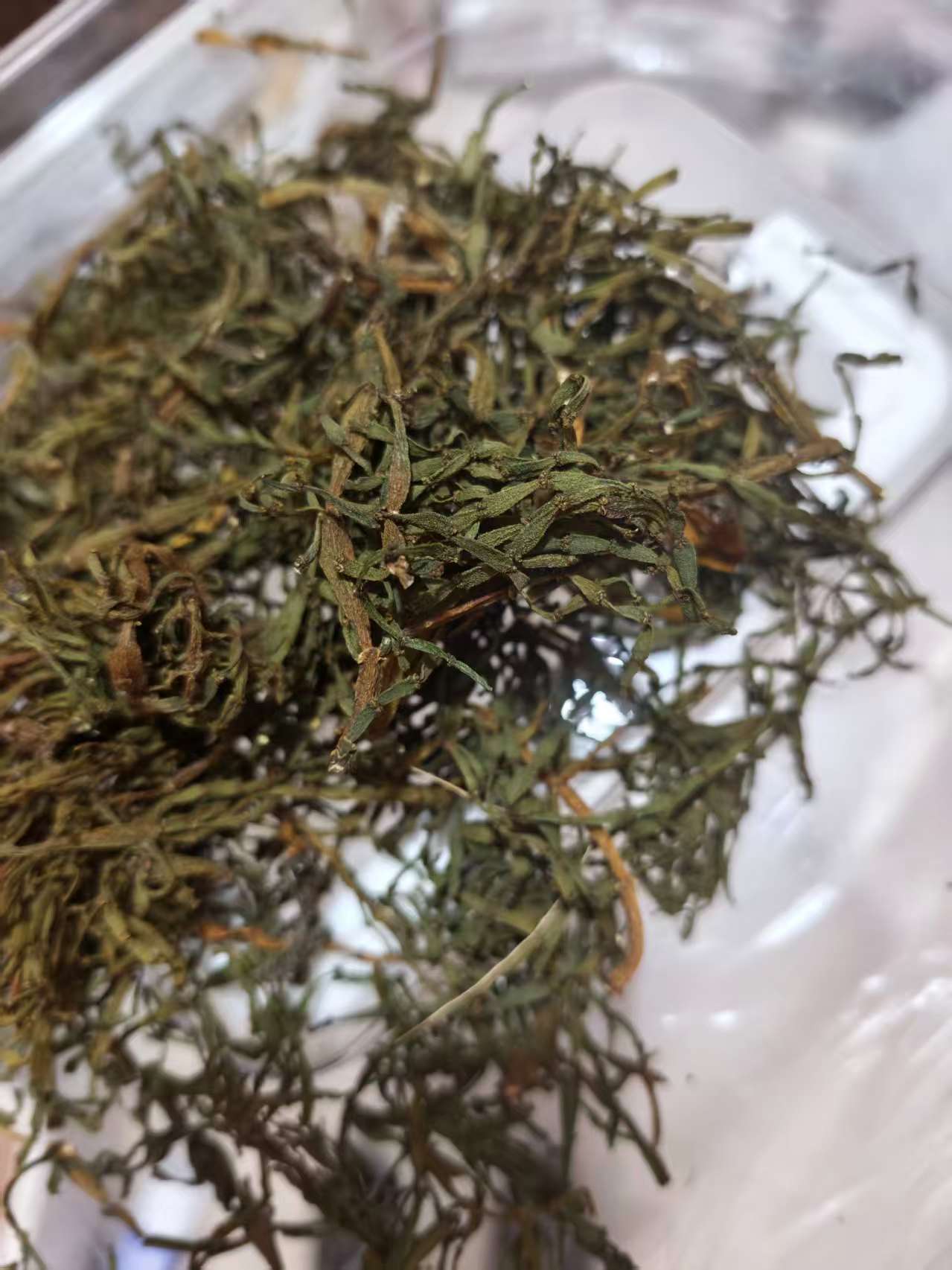 Pang Xie Jiao (Viscum articulatum) — Wild Yunnan Ancient-Tree Herbal Tea Twig, 100g key features