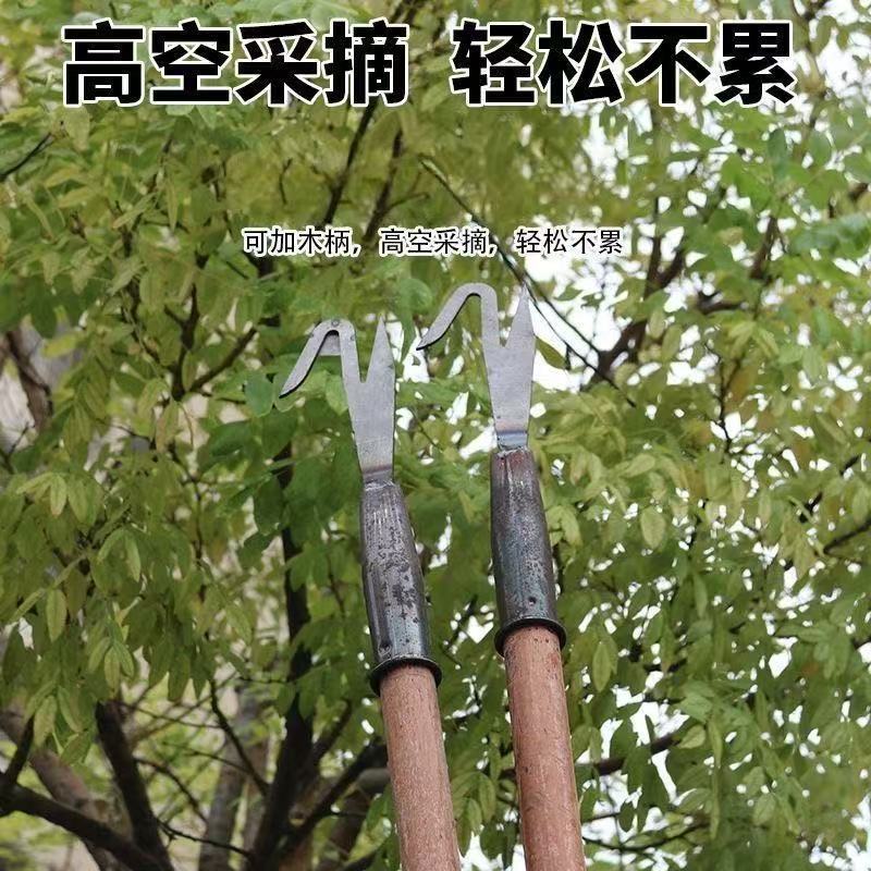 微信图片_20260321191603_254_28.jpg