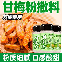 润万香甘梅粉撒料瓶装家用梅子粉炸鸡甘梅地瓜鸡排薯条商用调料