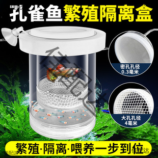 Guppy Isolation Breeding Box Fish Tank Fry Young Fish Small Fish Separation Box Anchovy Hatching Pregnant Mother Fish Bucket