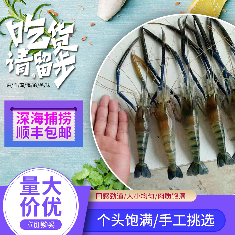 罗氏沼虾鲜活海鲜水产河虾草虾对虾大头虾淡水大虾基围虾厂家代发