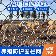 ��\�F�z�W���ڷ��o�W�����W䓽z�W�Bֳ��ţ�i�ھW���@�ř��o�ھW