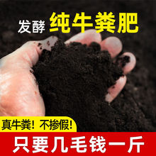 纯牛粪高温酵粪有机肥料养花通用型植物肥料种菜专用肥牛粪农家肥