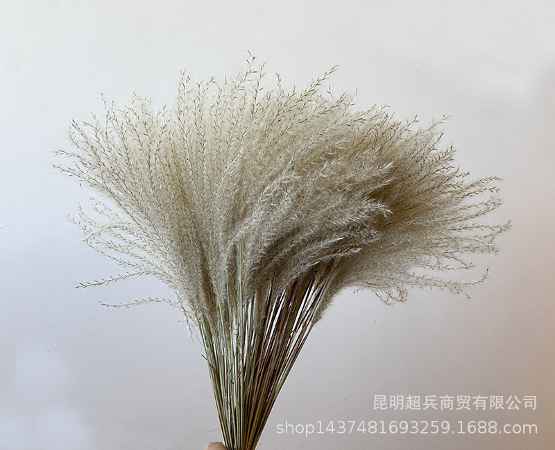 QQ图片20211106150758.jpg