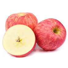 【嚴選 10-5】陝西洛川紅富士蘋果 新鮮應季水果脆甜多汁蘋果代發