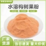 水溶楮实子构树提取物